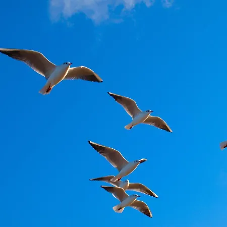 Kolobrzeg, Aqua Sol Polanki Park, 300 M, Schwimmbad, Fitness, Parkplatz, Terasse Апартаменты *